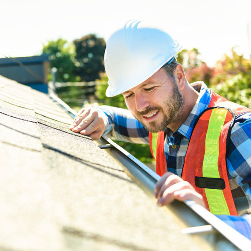 inspector examining a roof